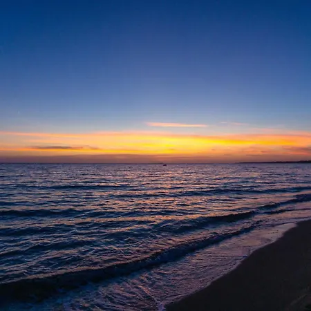 Zaira Vila Halikounas